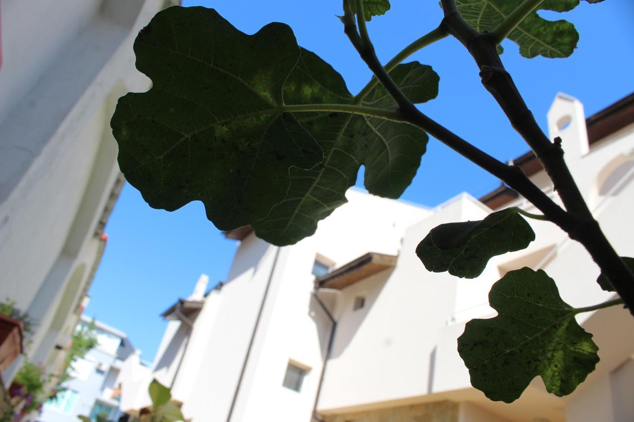Siana House Hotel Ravda Exterior photo